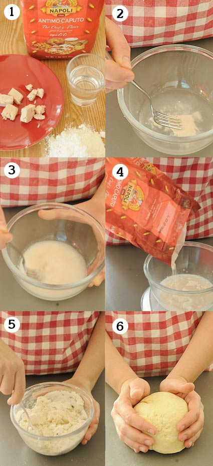 giststarter biga